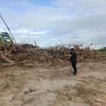 PT. Kilau Indah Cemerlang  Diduga Menyerobot Tanaman Jati Masyarakat Kelurahan Potoro