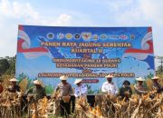 Pemprov Sultra Apresiasi Panen Raya Jagung Polda Sultra Dukung Ketahanan Pangan Nasional